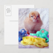Baby, perfect voor Baby shower Uitnodiging Briefkaart (Voorkant / Achterkant)