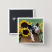 Baby Piglet Pig Vierkante Button 5,1 Cm (Voorkant /achterkant)