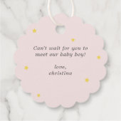 Baby Pink Clouds Oh Baby Bedankt Bedankjes Labels (Achterkant)