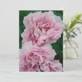Baby Pink Peony Flowers Kaart (Staand voorkant)