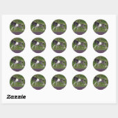 Baby Pinto Mini Paard Stickers (Vel)