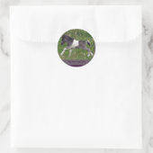 Baby Pinto Mini Paard Stickers (Tas)