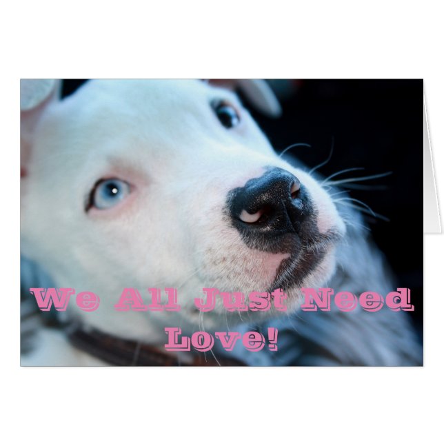 Baby Pit Bull Puppy (Voorkant Horizontaal)