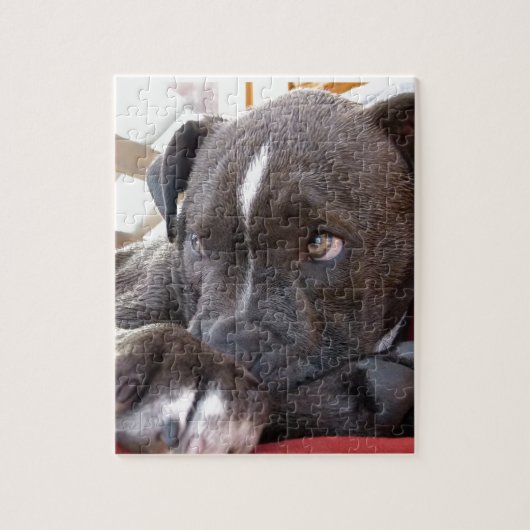 Baby Pitbull-Puppies Legpuzzel (Verticaal)