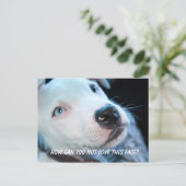 Baby Pitbull Puppy Briefkaart (Staand voorkant)