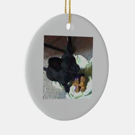 BABY POKEMON ORNAMENT (Rechts)