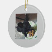 BABY POKEMON ORNAMENT (Links)