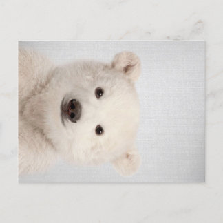 Baby Polar Bear Colorful Feestdagenkaart