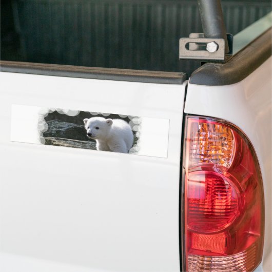 Baby Polar Beer Bumpersticker (Op Truck)