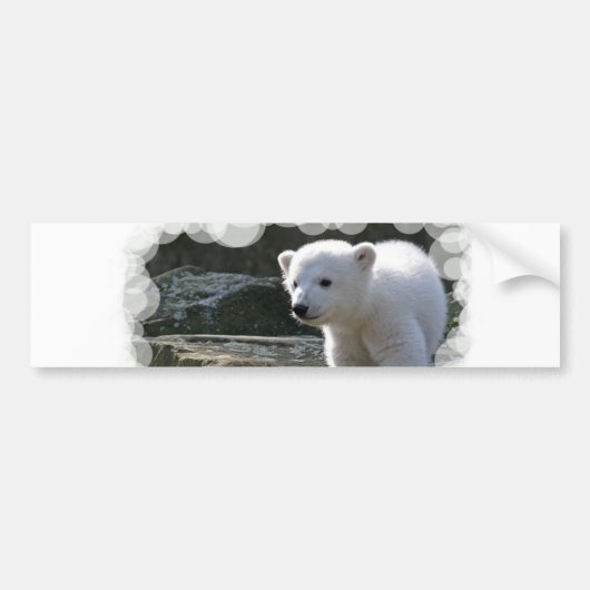 Baby Polar Beer Bumpersticker (Voorkant)