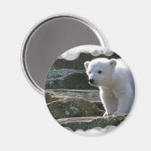 Baby Polar Beer Magnet (Voorkant / Achterkant)