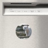 Baby Polar Beer Magnet (Insitu (Vaatwasser))