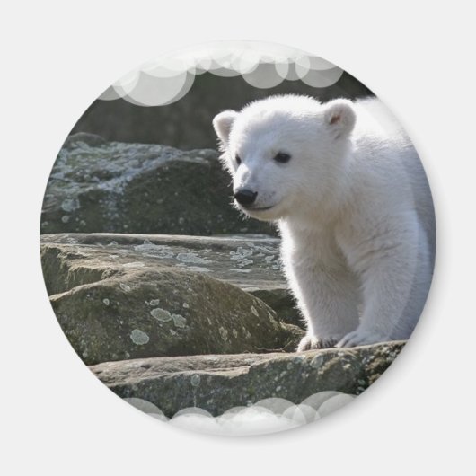 Baby Polar Beer Magnet (Voorkant)