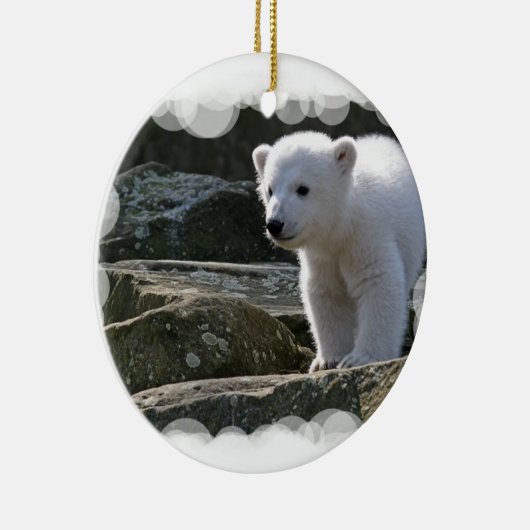 Baby Polar Beer Ornament (Rechts)