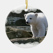Baby Polar Beer Ornament (Voorkant)