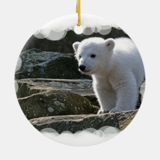 Baby Polar Beer Ornament (Achterkant)