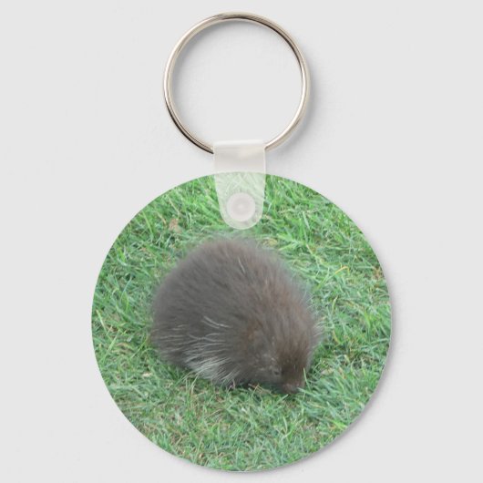 Baby Porcupine Sleutelhanger (Voorkant)