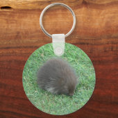 Baby Porcupine Sleutelhanger (Voorkant)