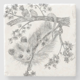 Baby Possum Stone Onderzetter