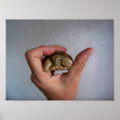 Baby Poster (Voorkant)