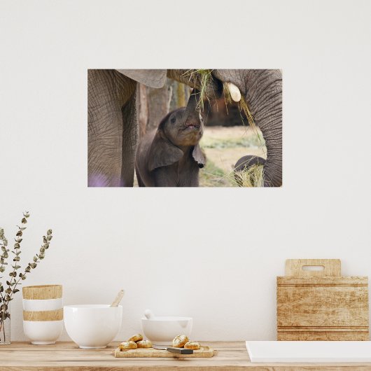 Baby Poster (Keuken)