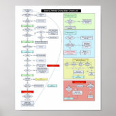 Baby Poster (Voorkant)