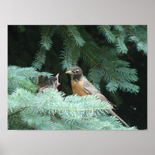 Baby Poster (Voorkant)