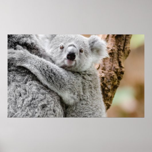 Baby Poster (Voorkant)