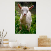 Baby Poster (Keuken)