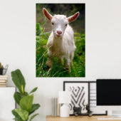 Baby Poster (Thuiskantoor)