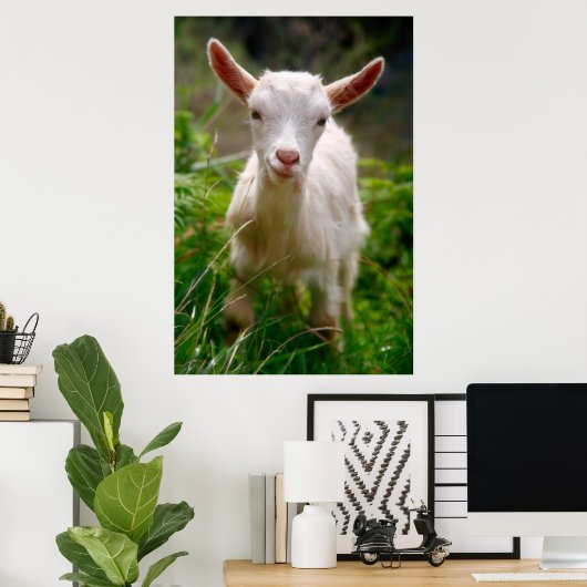 Baby Poster (Thuiskantoor)