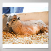 Baby Poster (Voorkant)