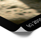 Baby Poster Prints (Hoek)