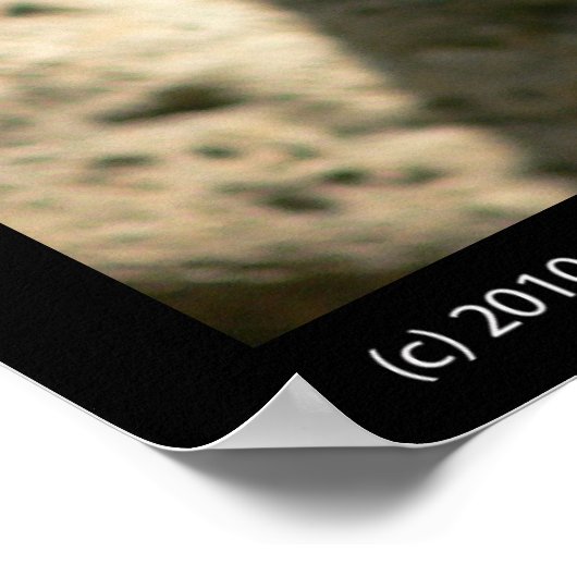 Baby Poster Prints (Hoek)