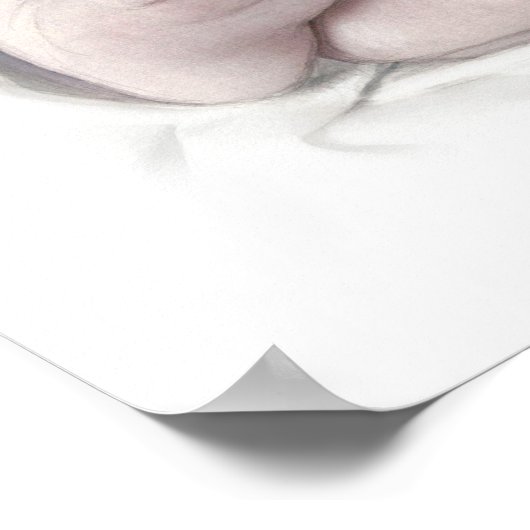 Baby potloodschets poster (Hoek)