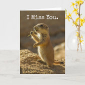 Baby prairie dog eet, Arizona Kaart (Gele Bloem)