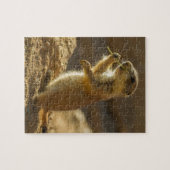 Baby prairiehond eet, Arizona Legpuzzel (Horizontaal)