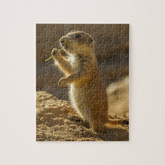 Baby prairiehond eet, Arizona Legpuzzel (Verticaal)
