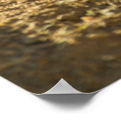 Baby prairiehond eet, Arizona Poster (Hoek)