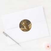 Baby prairiehond eet, Arizona Ronde Sticker (Envelop)