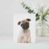 Baby Pug Portrait Briefkaart (Staand voorkant)