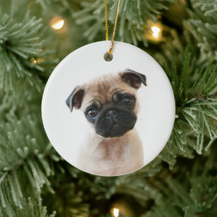 Baby Pug Portrait Keramisch Ornament