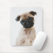 Baby Pug Portrait Muismat (Met muis)