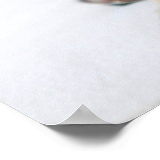 Baby Pug Portrait Poster (Hoek)