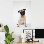 Baby Pug Portrait Poster (Thuiskantoor)