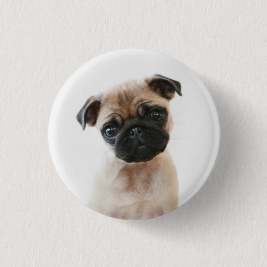 Baby Pug Portrait Ronde Button 3,2 Cm (Voorkant)
