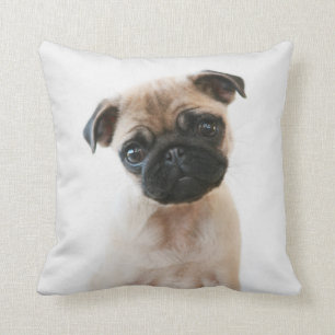 Baby Pug Portret Kussen