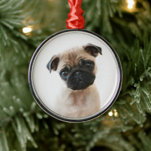 Baby Pug Portret Metalen Ornament