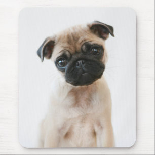 Baby Pug Portret Muismat