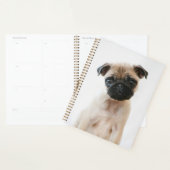 Baby Pug Portret Planner (Display)